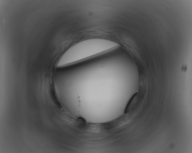 X0000093400127200710120903