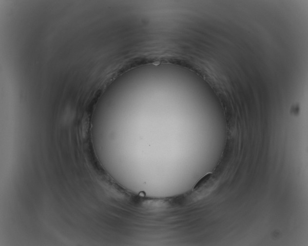 X0000093400133200710120903