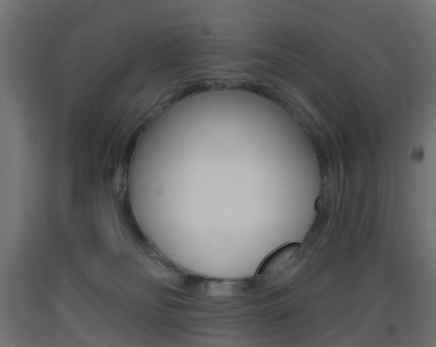 X0000093400134200710120903