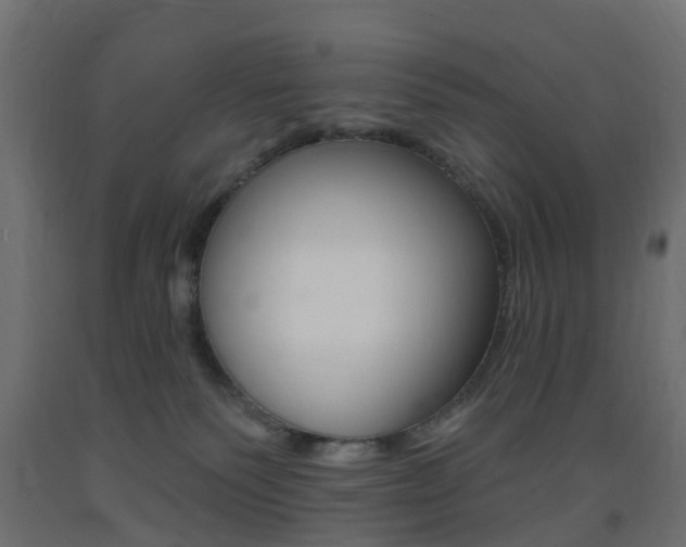 X0000093400135200710120903