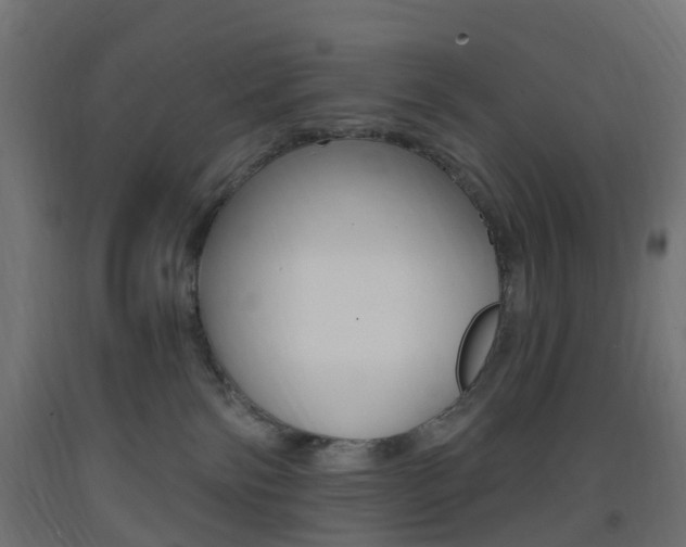 X0000093400138200710120903