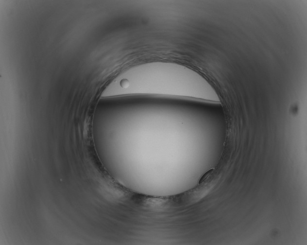 X0000093400139200710120903