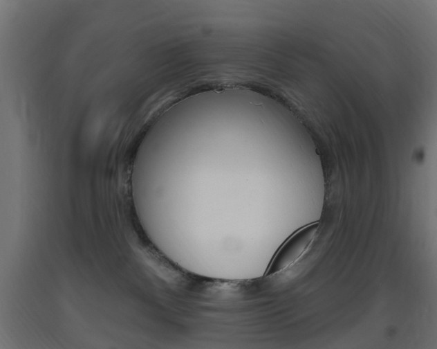 X0000093400140200710120903