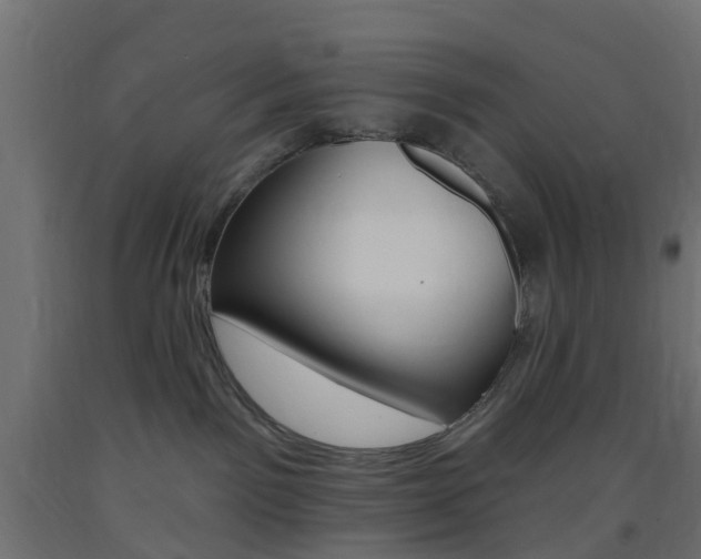 X0000093400141200710120903