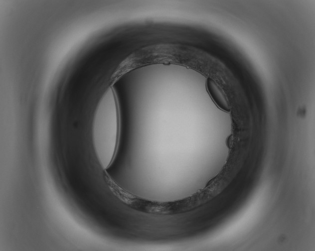 X0000093400143200710120903