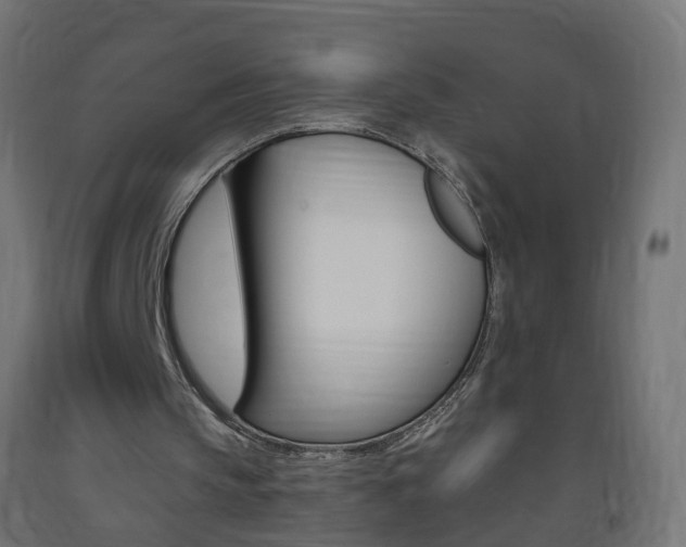 X0000093400145200710120902