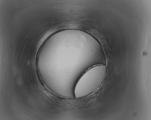 X0000093400147200710120902