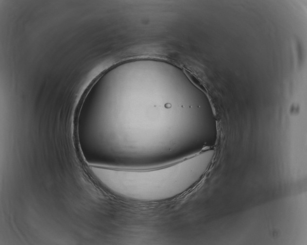 X0000093400148200710120902