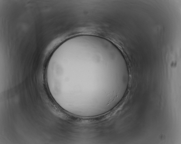 X0000093400149200710120902
