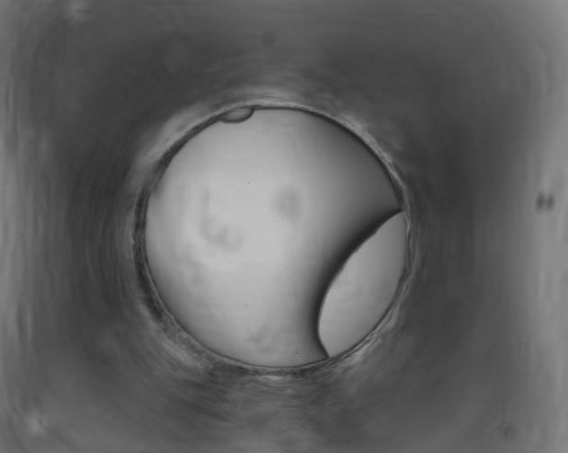 X0000093400151200710120902