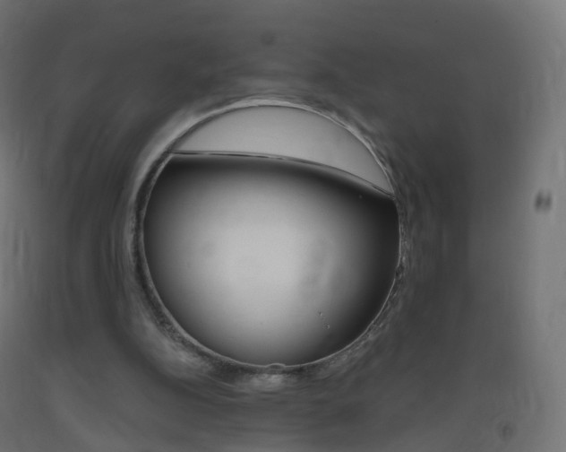 X0000093400152200710120902