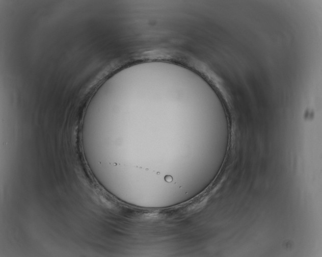 X0000093400153200710120902