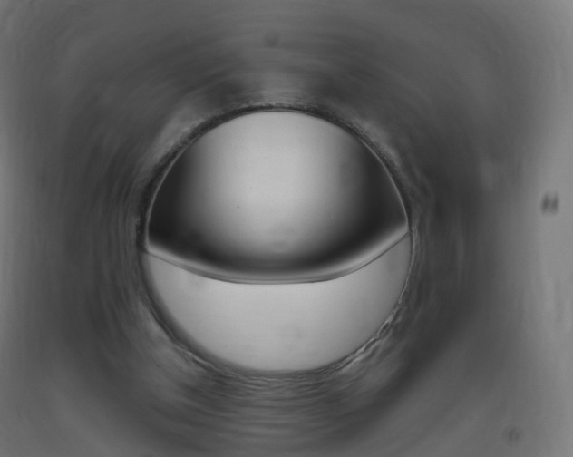 X0000093400154200710120902
