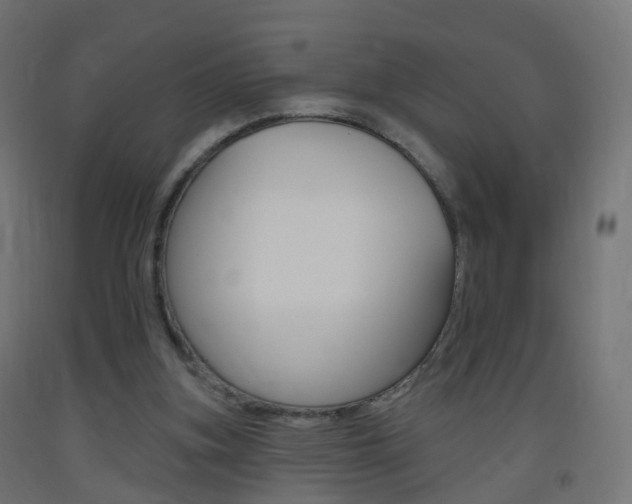 X0000093400155200710120902