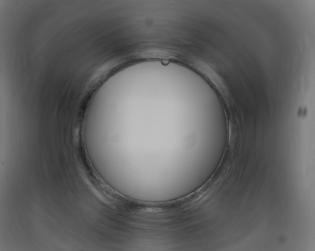 X0000093400157200710120902