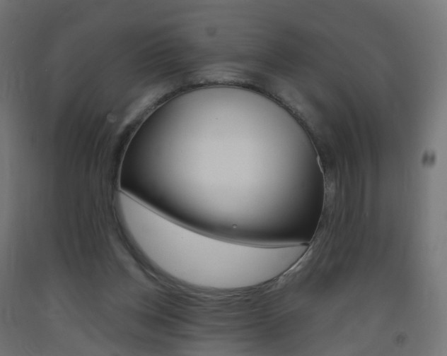 X0000093400158200710120903