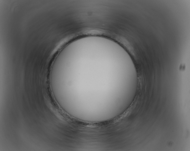 X0000093400159200710120903