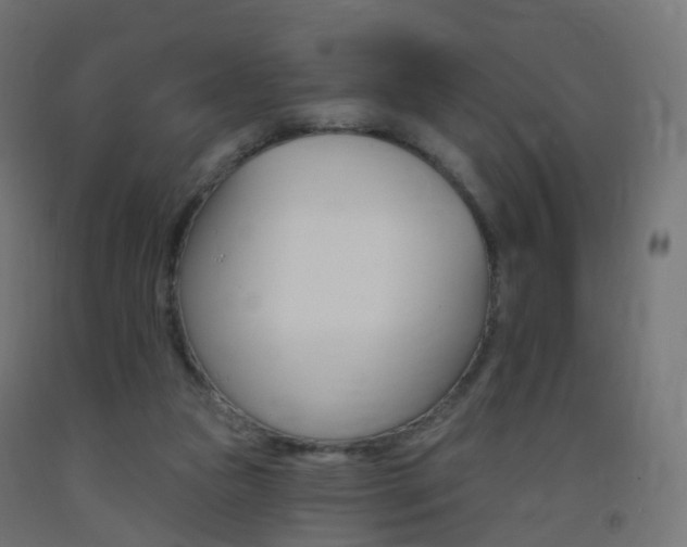 X0000093400161200710120903