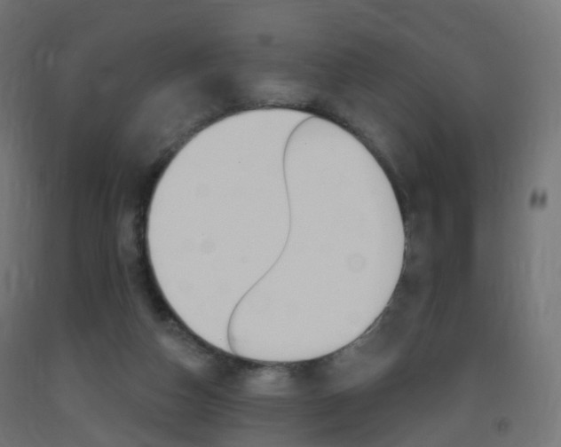 X0000093400162200710120903