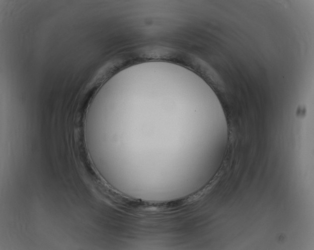 X0000093400163200710120903