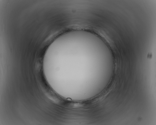 X0000093400165200710120903