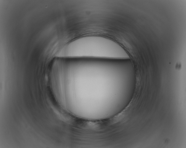 X0000093400166200710120903