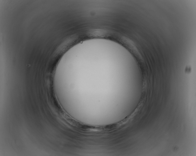 X0000093400167200710120903