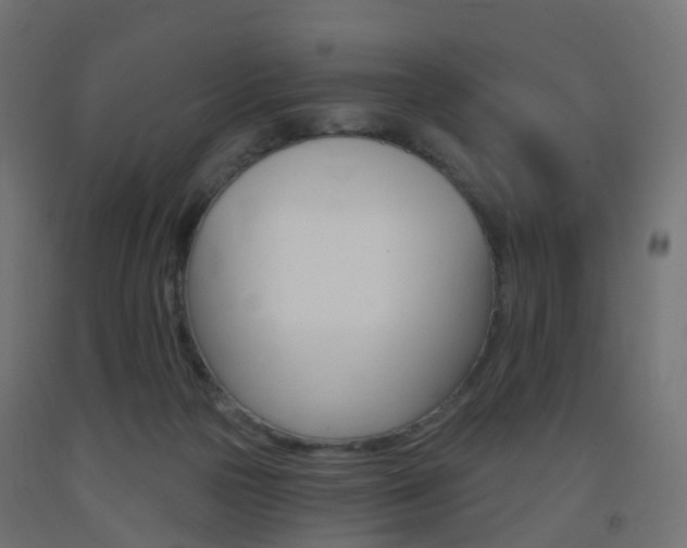 X0000093400169200710120903
