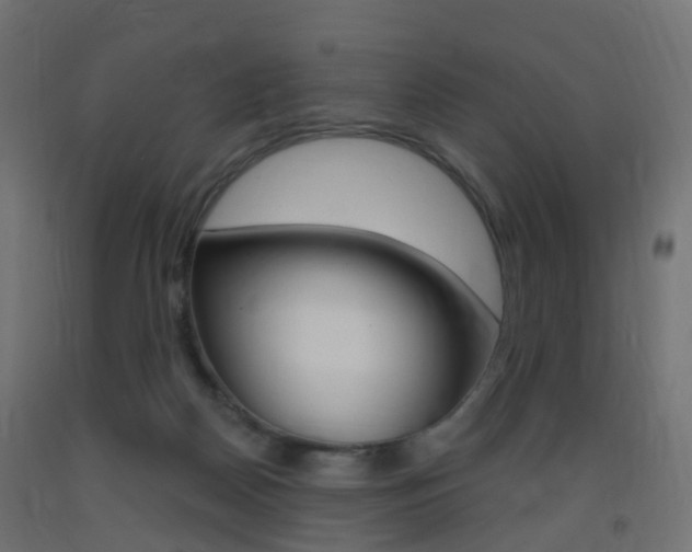 X0000093400170200710120903
