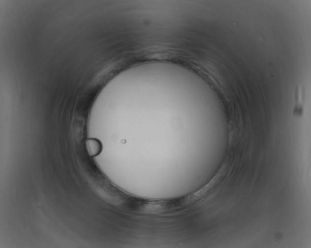 X0000093400171200710120903