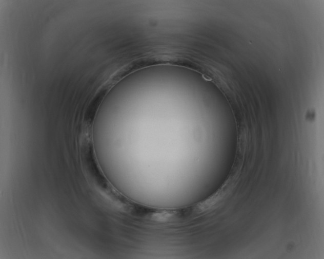 X0000093400172200710120903