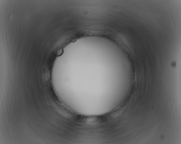 X0000093400173200710120903