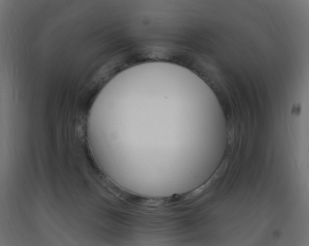 X0000093400175200710120903