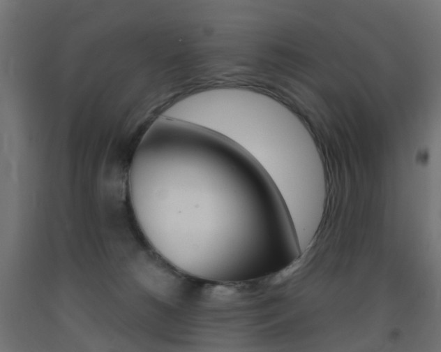 X0000093400180200710120903