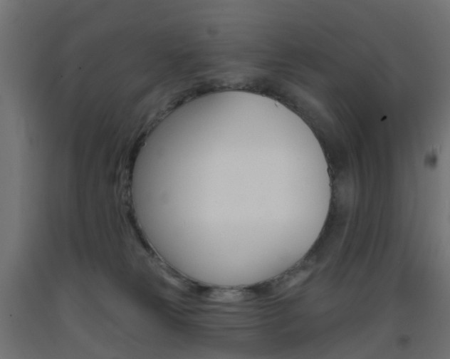 X0000093400181200710120903