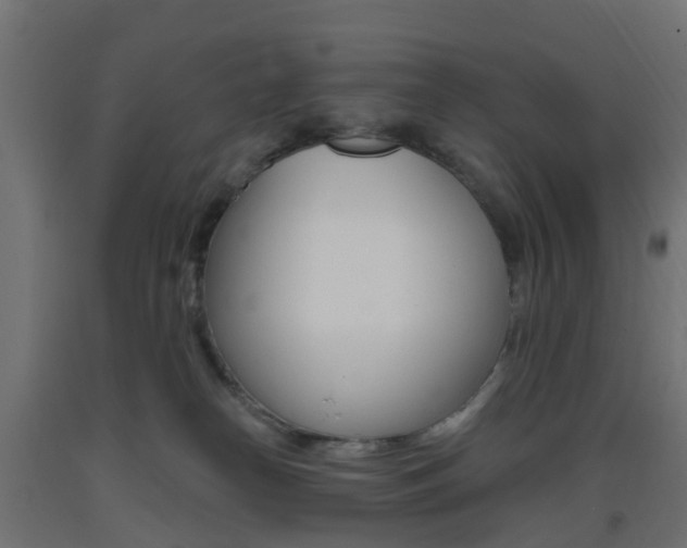 X0000093400182200710120903