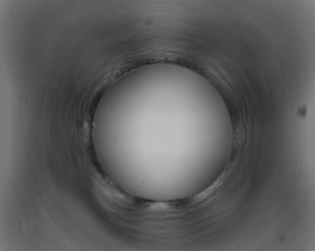 X0000093400183200710120903