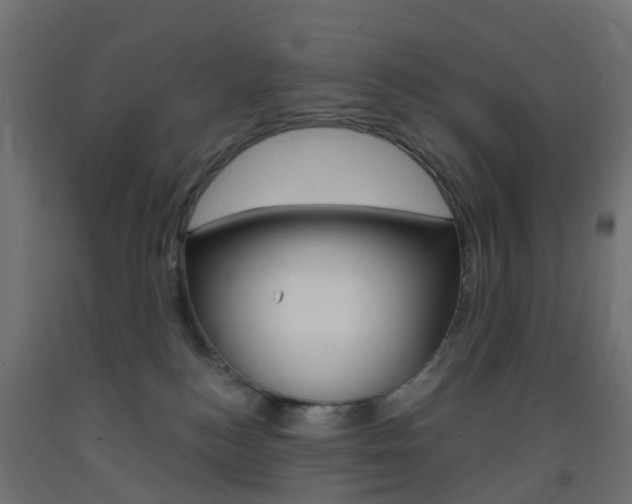 X0000093400184200710120903