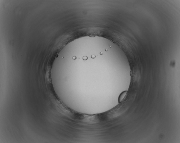 X0000093400185200710120903