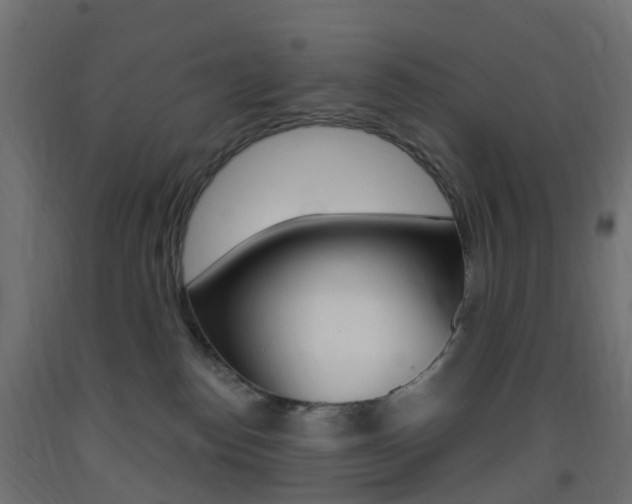 X0000093400186200710120903