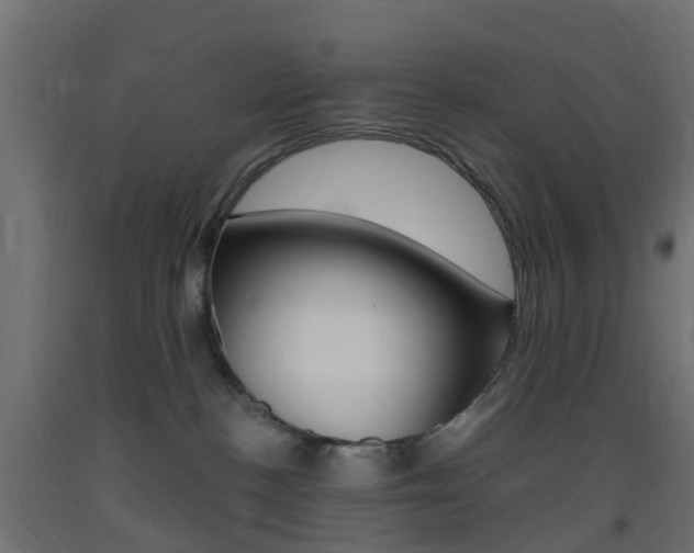 X0000093400188200710120903