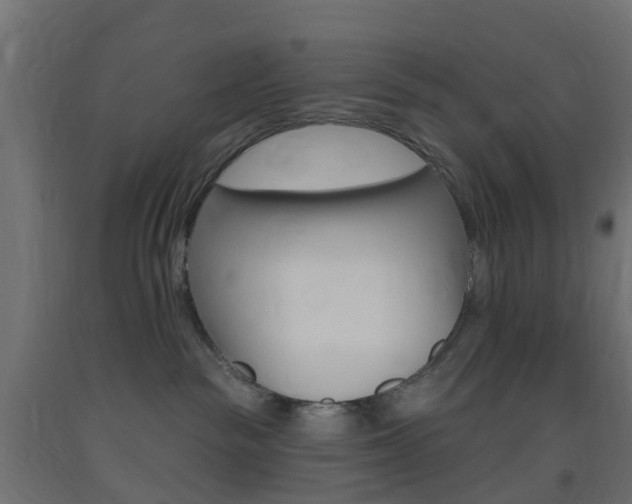X0000093400189200710120903