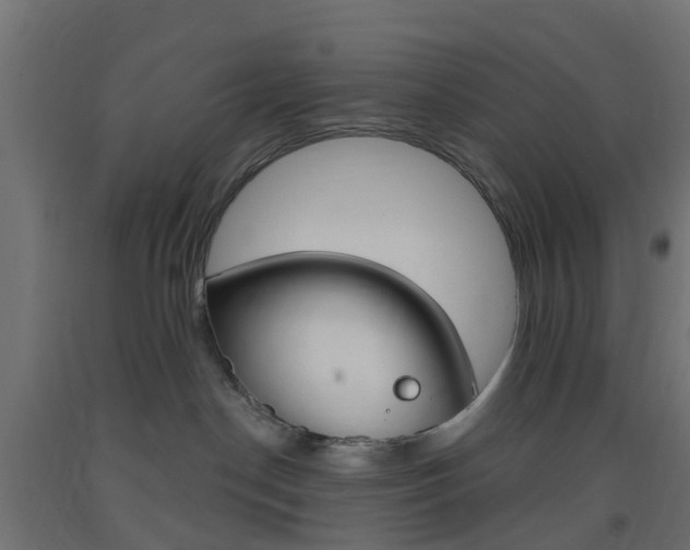 X0000093400190200710120903