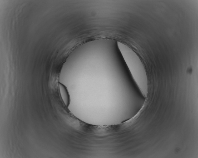 X0000093400191200710120903