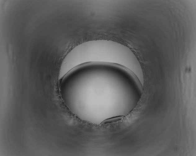 X0000093400192200710120903