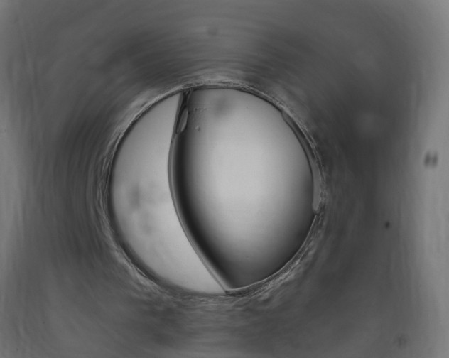 X0000093400193200710120902