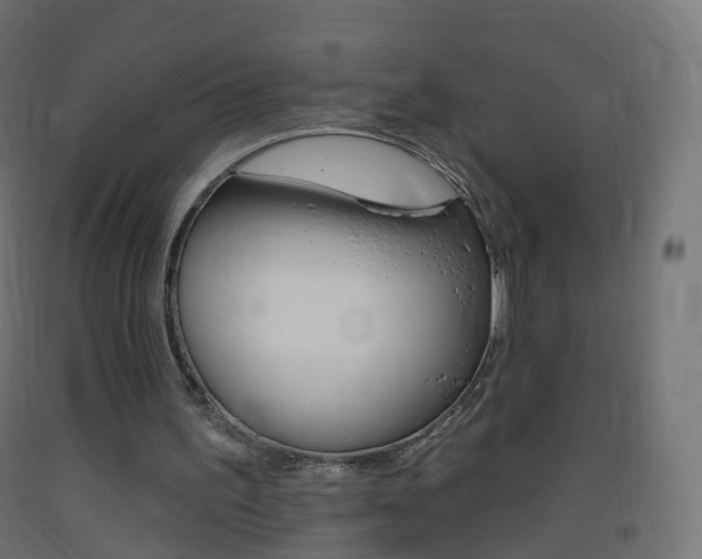 X0000093400195200710120902