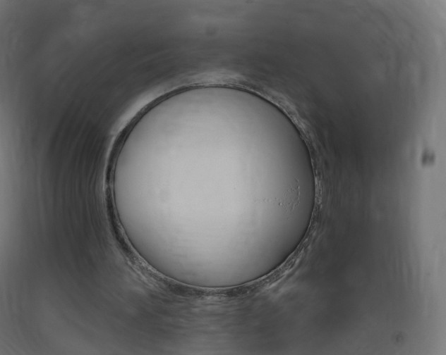 X0000093400196200710120902