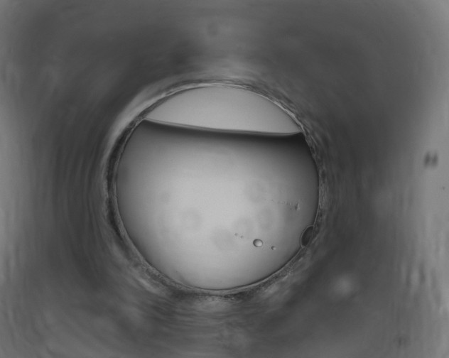 X0000093400198200710120902