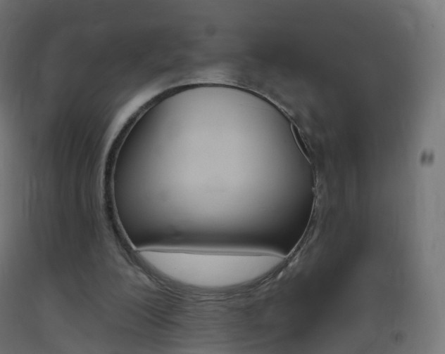 X0000093400200200710120902